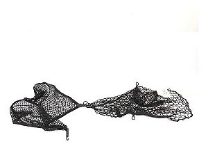 Rede Gancho Porta Mala Audi A3 2.0 2017 Tfsi 8v0861716