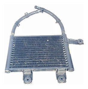 Resfriador Caixa Direção Kia Opirus 2008 3.6