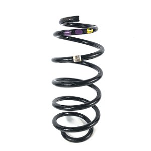 Mola Amortecedor Dianteiro Land Rover Discovery Sport 2017 FK725310BB