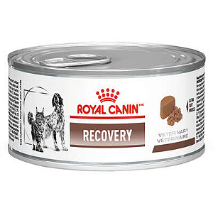 Ração Úmida Royal Canin Recovery Cães e Gatos - 195gr