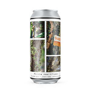 Cerveja Greenhouse Plinia Cauliflora Fruited Sour Lata 473ml