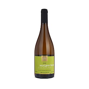 ARTEVIVA SINONIMOS SAUVIGNON BLANC VINHO BRANCO SECO SAFRA 2022 750 ML