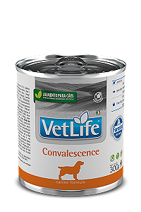 Vetlife Canine Umido Convalescence 300G