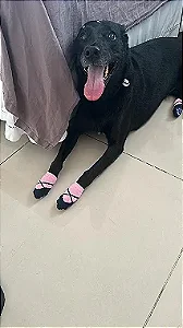 MEIA COLORS P