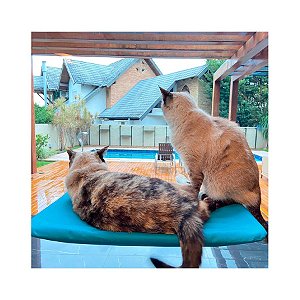 Cama De Janela Para Gatos Petlon - Azul