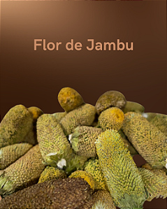 Flor de jambu 50g