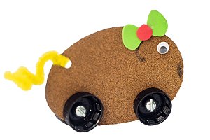 Ratinho de lixa
