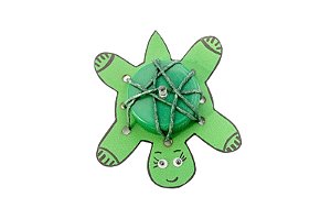 Tartaruga iluminada