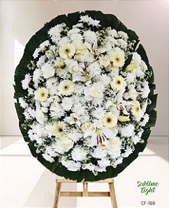 C130 - Sublime Light