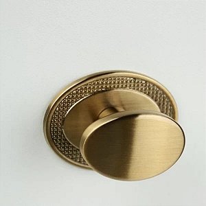 Puxador Beetle com Base Granada Gold Escovado ZP5402.B00 - Zen