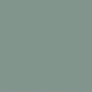FITA PVC MOSS 65MMX20M PROADEC