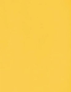 LAMINADO FORMICA  LEMON FB11 SF(SOMENTE RETIRADA)