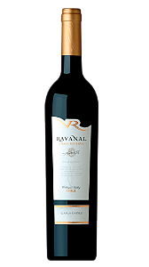Vinho Ravanal Gran Reserva Carmenere 2022 750 ml