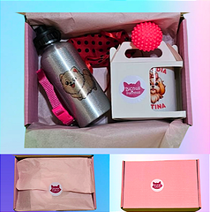 Kit cachorros rosa: Squeeze aluminio, caneca, chaveiro, coleira para identificação, bolinha, bandana e sacola ecobag