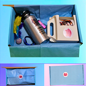Kit gatos azul: Squeeze aluminio, caneca, chaveiro, coleira para identificação, brinquedo e sacola ecobag . Escolha o tema.