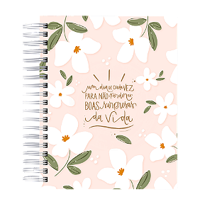 Planner: Um Dia de Cada Vez