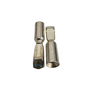 Terminal Para Fio Metálico 50A