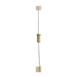 Resistor 10M 2W 5%
