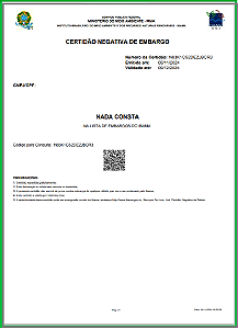 CERTIDÃO DO IBAMA - CERTIDÃO DE EMBARGOS