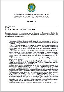 Certidão Ministério do Trabalho e Emprego