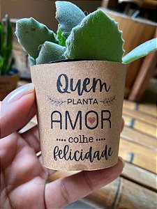 Rotulo para Suculenta Quem Planta Amor Colhe Felicidade 50 unidades + Tag Personalizada