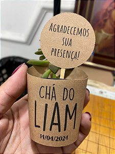 30 Rotulos para Suculenta Com Sua Frase  + Tag Personalizada