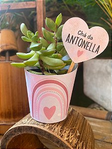 60 Rotulos para Suculenta Arco Iris  + Tag Personalizada de Coração