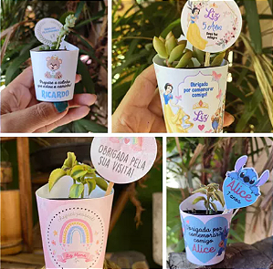 80 Rotulos para Suculenta Arco Iris  + Tag Personalizada