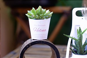 1 Rotulo Personalizado