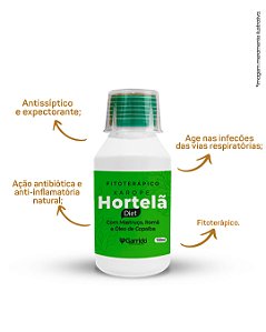 Xarope Hortelã Diet