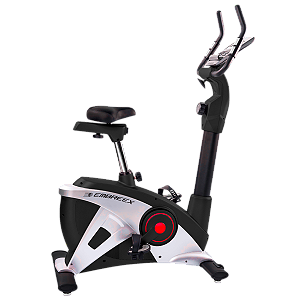 BIKE 309