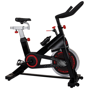 SPINNING BIKE 342