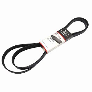 Correia Micro-V Gates 6PK2187 Ford Focus 2.0 16V - Cód.11731