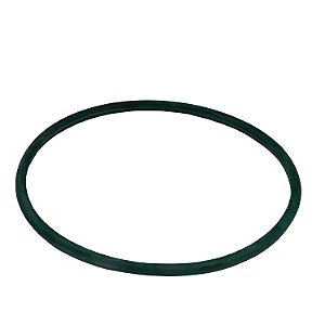 Guarnição Flange Bomba TSA T040028 Peugeot 206 - Cód.13982