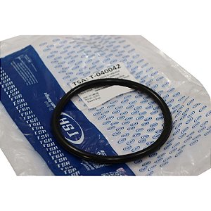 Guarnição Flange Bomba TSA T040042 GM S10 - Cód.13987