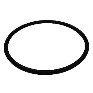 Guarnição Flange Bomba TSA T040061 Elantra, Soul - Cód.14004