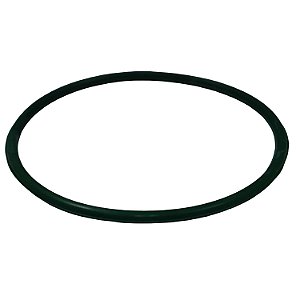 Guarnição Flange Bomba TSA T040066 Fiat Toro - Cód.14009