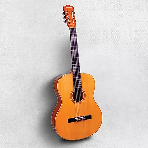 Violão Di Giorgio Estudante nº 18 - padrão - Nylon