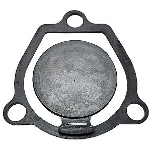 Válvula de entrada motobomba 2 pol. Buffalo 01012