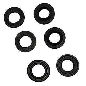 Kit Reparo Vedação Tramontina Master 2100w 2100psi 42554/022