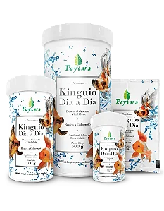 POYTARA KINGUIO DIA-A-DIA