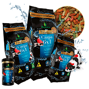 POYTARA PREMIUM CARPA 6X1