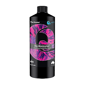 BIO-MOLECULES - QUANTUM