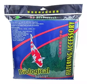 ESPONJA BIOLOGICA - RS AQUA