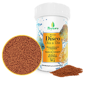 POYTARA DISCO DIA-A-DIA 30G