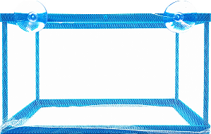 WF- CRIADEIRA - WFISH