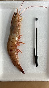 Camarão Rosa Grande - 1kg