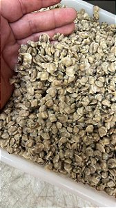Vongole limpo - 500g