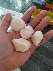 Vieiras Canadenses - 100g