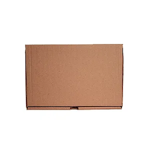 Correio Minipac Max  - 24x16x4